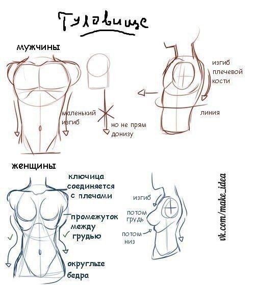 Аниме торс референс