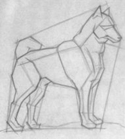 Эскизы животных для скульптуры