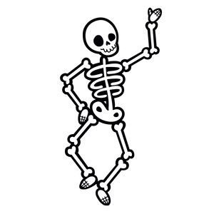 Кости скелета для костюма Кощея