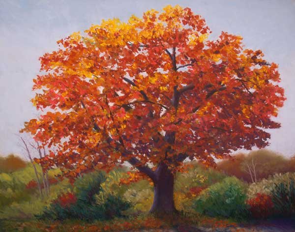 Дерево дуб осенью