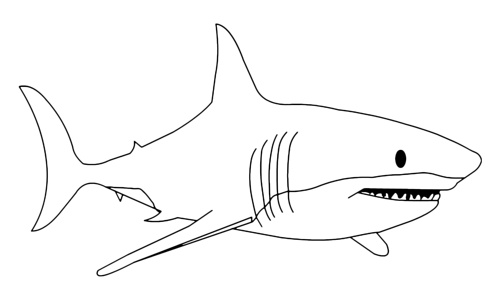 Акула детская раскраска