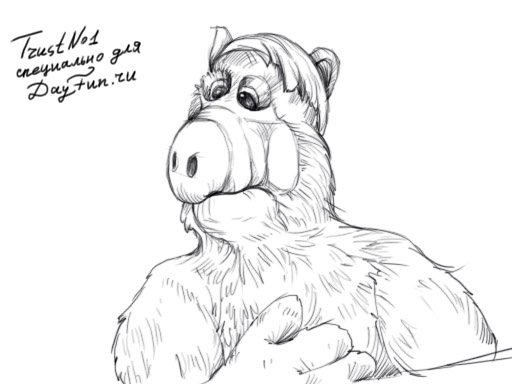 Альфа рисунок карандашом