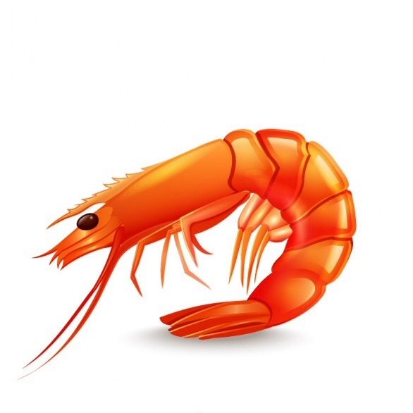 Креветка мультяшная