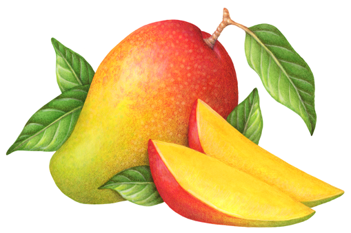 Манго для срисовки