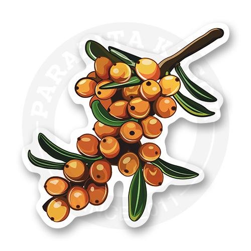 Облепиха стикер