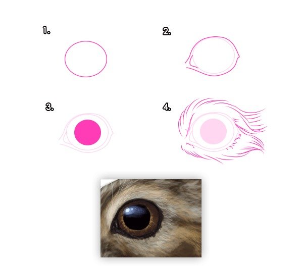 Глаза зайца нарисовать