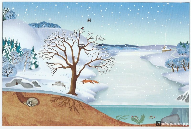 Окружающий мир гости зимы. Встреча зимы иллюстрация. Январь иллюстрация. Уголок природы зима. Картина зимняя для дошкольников природа.