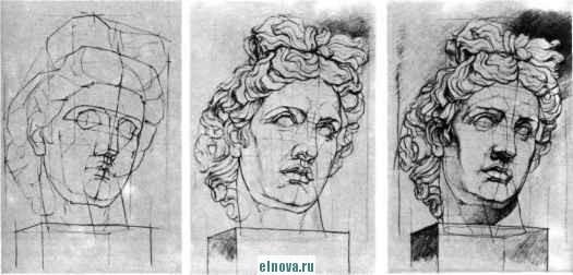 Аполлон Бельведерский голова