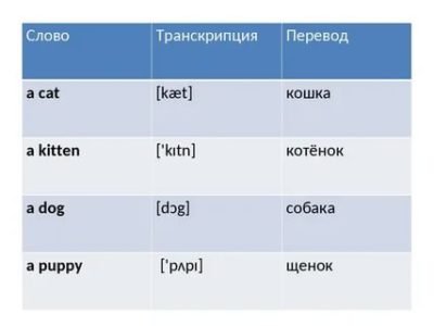 Cat транскрипция