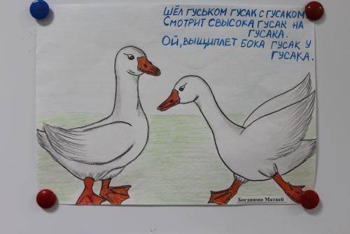 Идут гуськом Гусак за гусаком