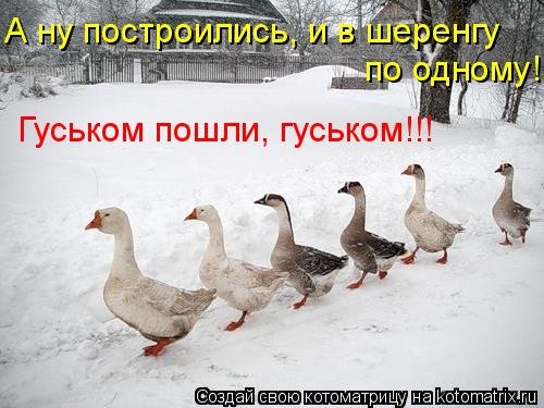 Иллюстрация идти гуськом