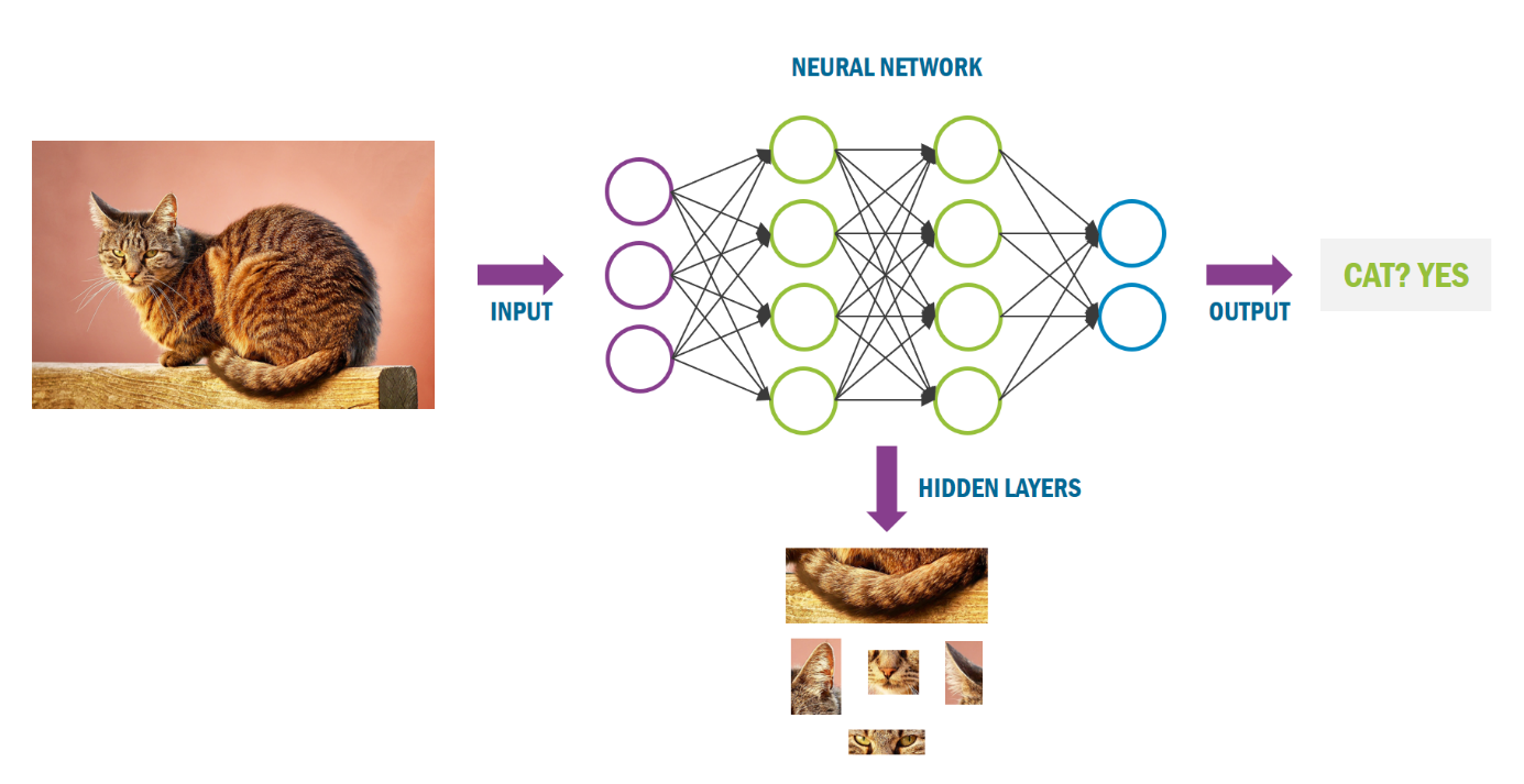 Нейронная сеть. Искусственная нейронная сеть. Изучение нейронных сетей. Нейронная сеть схема.