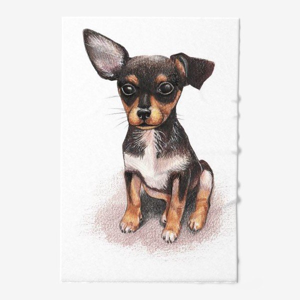 Портрет чихуа Хуа