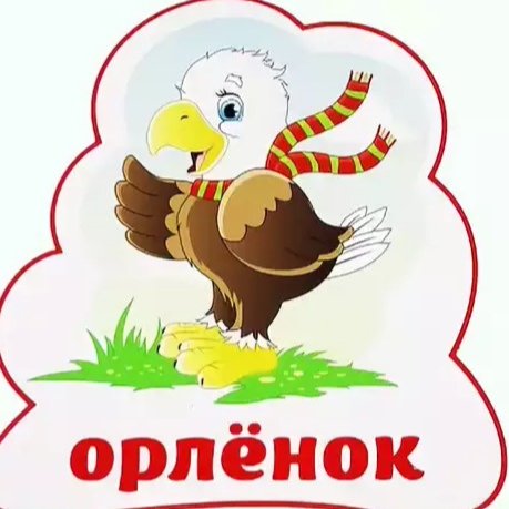 Орлята эмблема отряда