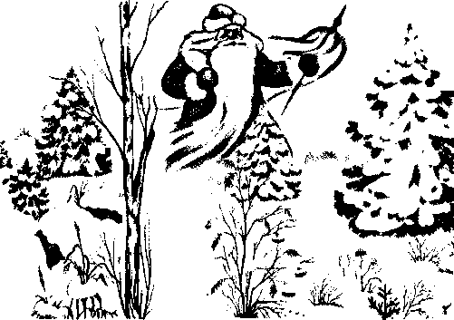 Мороз Воевода раскраска