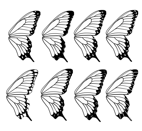 Крылья бабочки референс