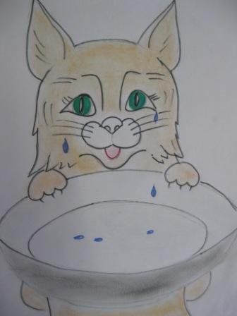 Кот наплакал