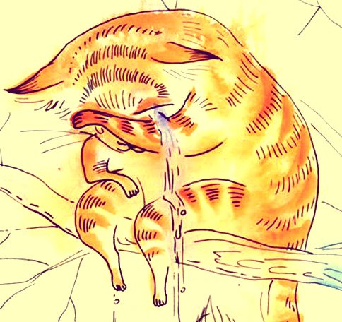 Смешные коты рисунки