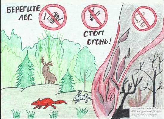 Плакат береги лес