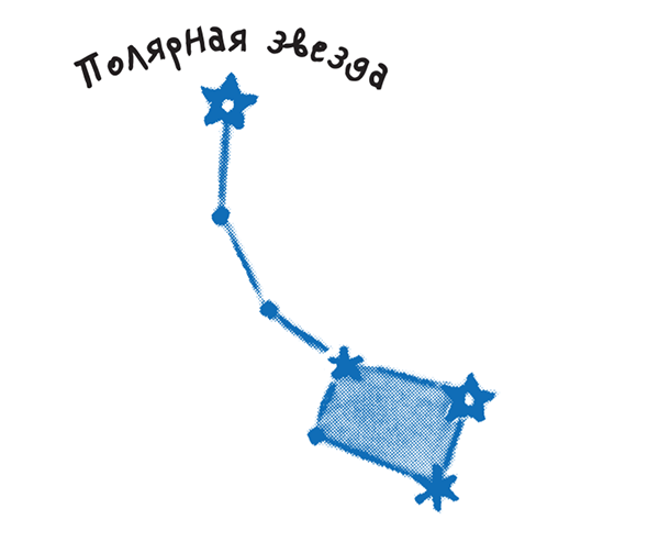 Большая и малая Медведица Созвездие Полярная звезда