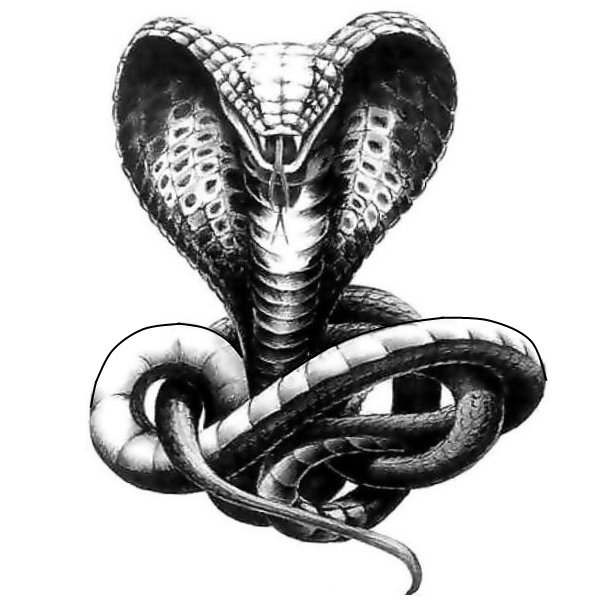 Голова кобры эскиз