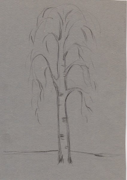 Иллюстрации к стихам Есенина белая береза