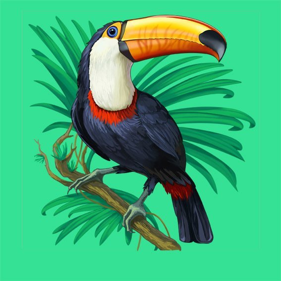 Нарисовать тукана