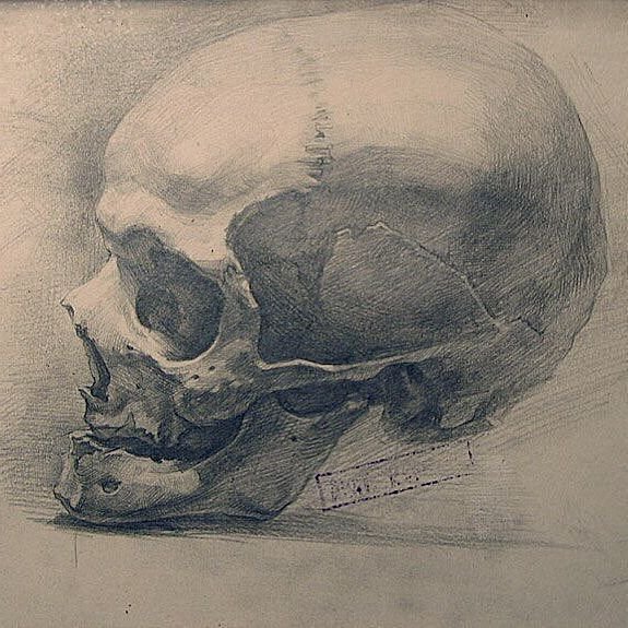 Академический рисунок черепа Академия художеств