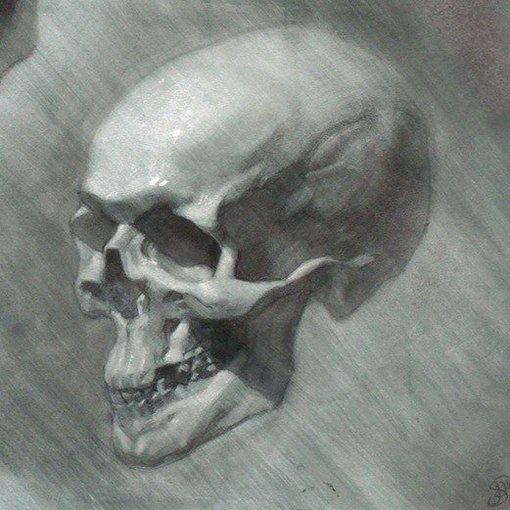 Академический рисунок Академия Репина череп