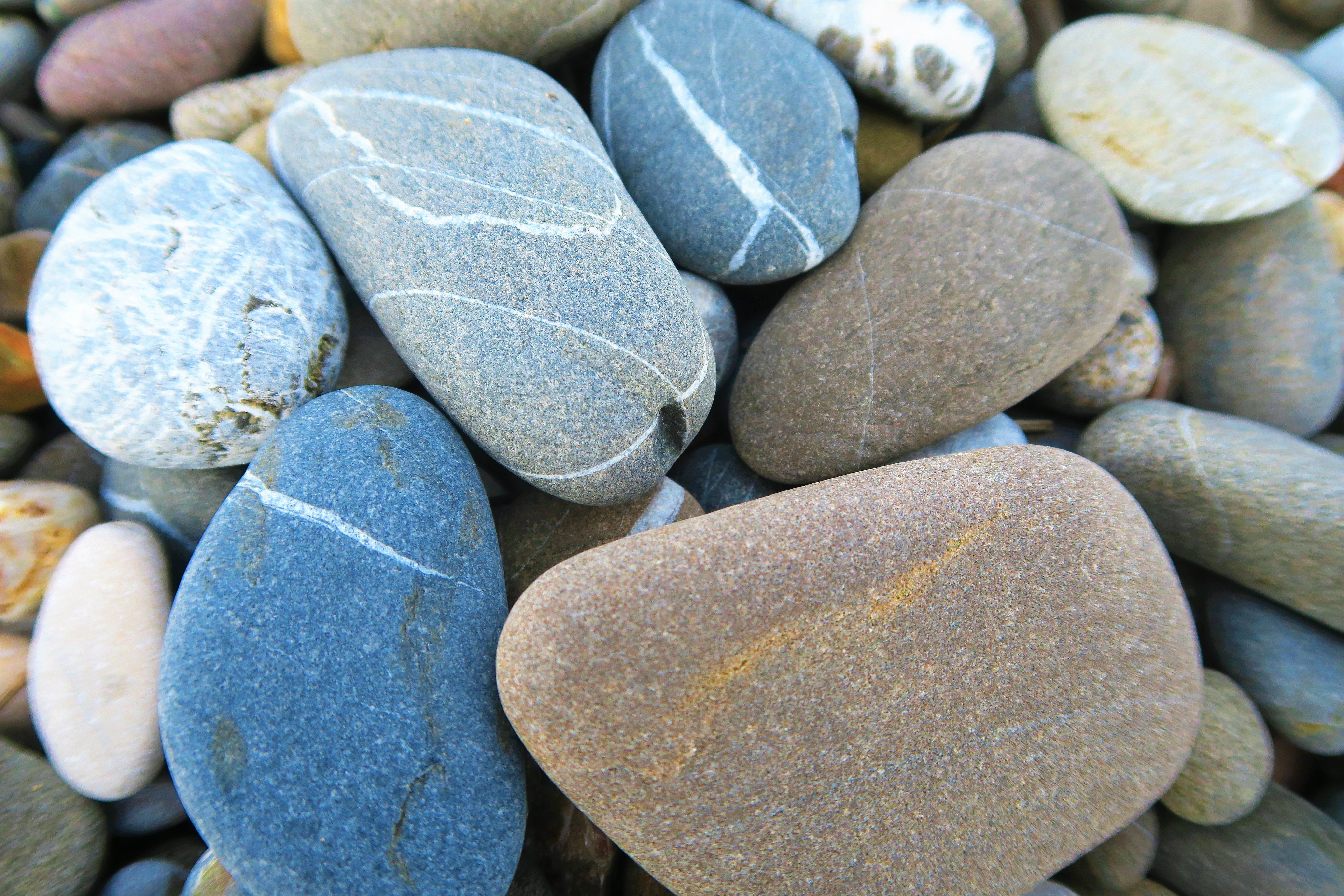 Галька виды. Морские камни. Красивые камушки. Разные камни. Красивые речные камни.