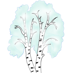 Рисование белая береза в подготовительной группе