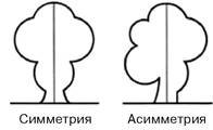 Симметрия и асимметрия