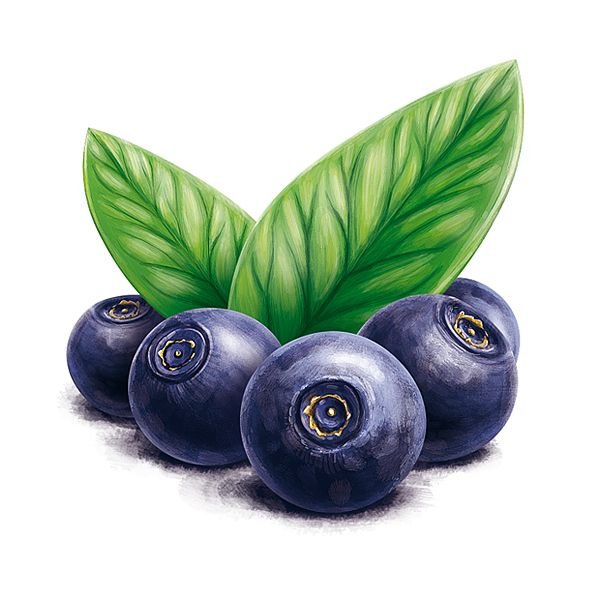 Черника цветными карандашами