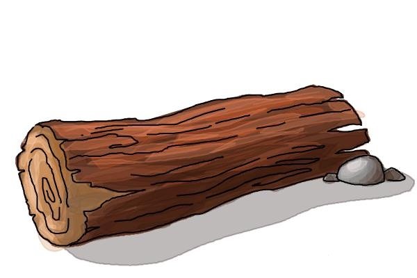 Бревно нарисованное