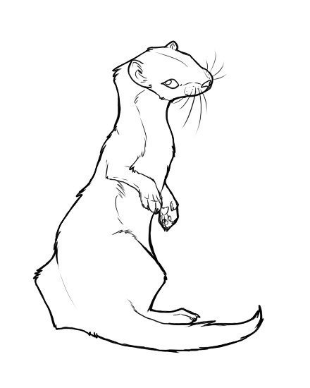 Горностай тату эскиз