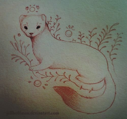 Хорёк для срисовки