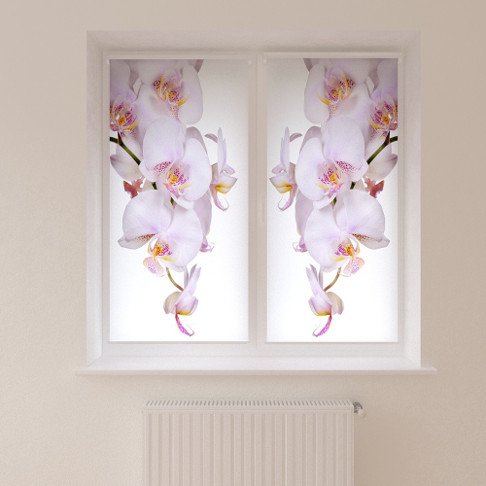 Рулонные шторы с орхидеями
