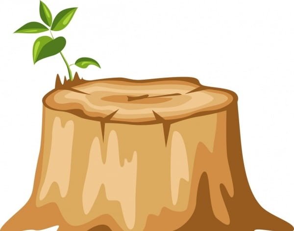 Нарисовать пенек