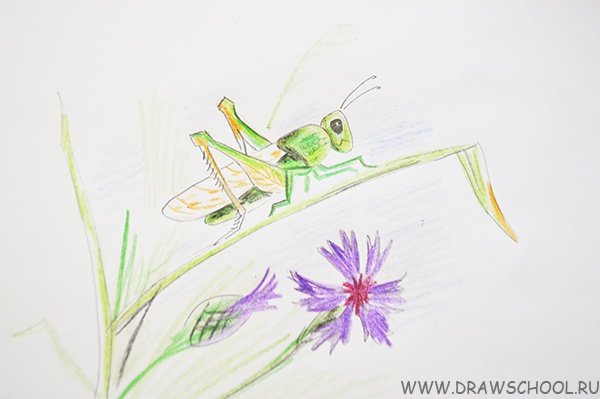 Кузнечики мультяшные