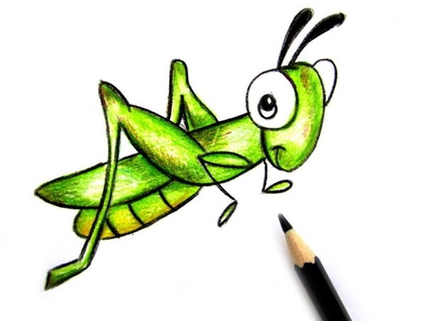 Кузнечик для детей