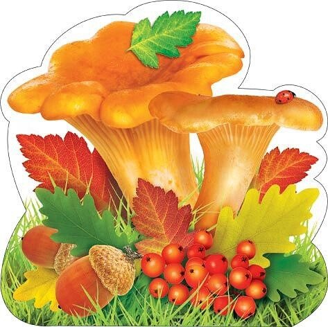 Рисование грибы в лесу