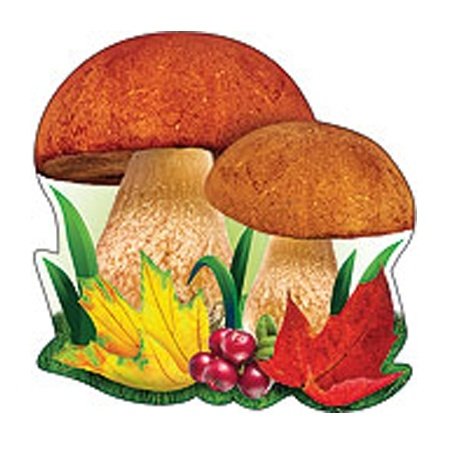 Осенние грибы мультяшные