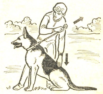 Кинолог с собакой рисунок