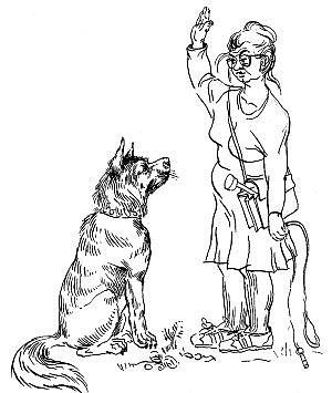 Кинолог карандашом