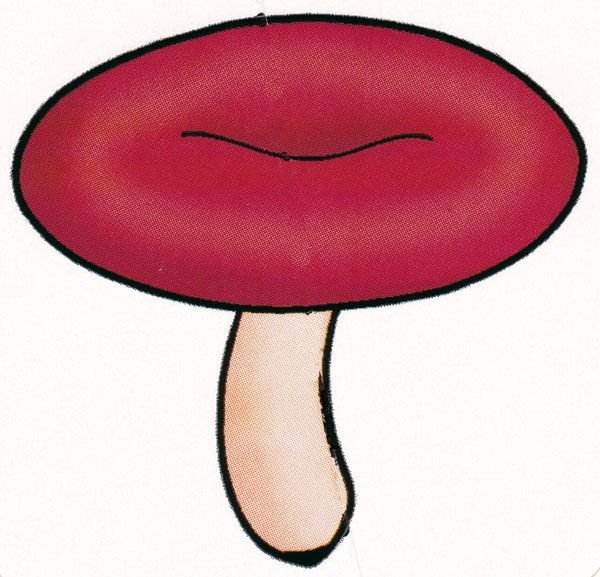 Гриб сыроежка для детей