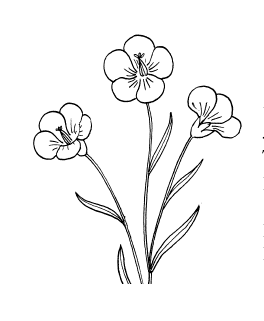 Голубые цветы акварель