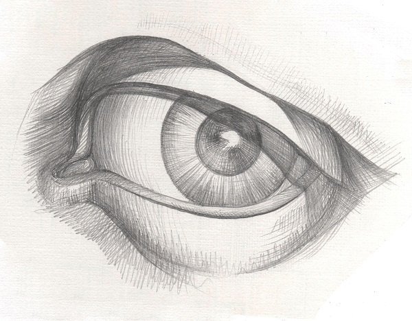 Построение человеческого глаза