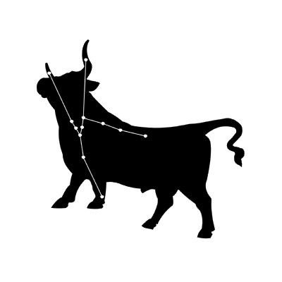 Созвездие Телец контур