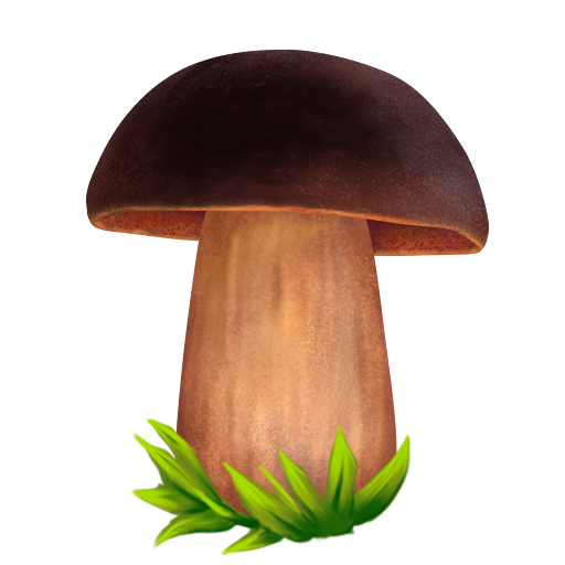 Гриб Боровик рисунок