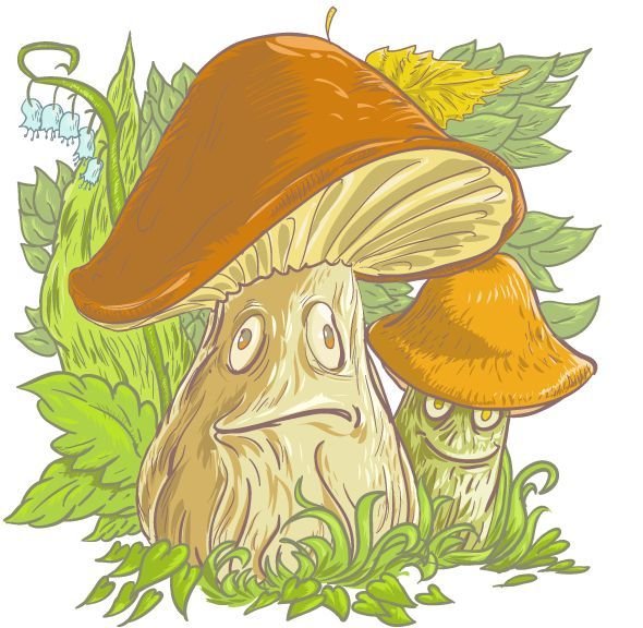 Рисунок боровик (42 фото)